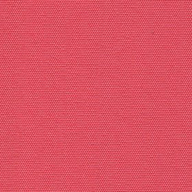 Альфа малина